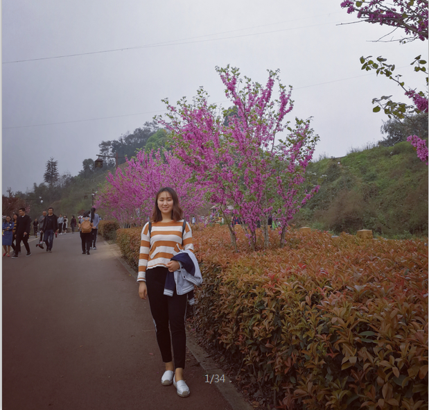 1544175697883297.png 申娟001.png